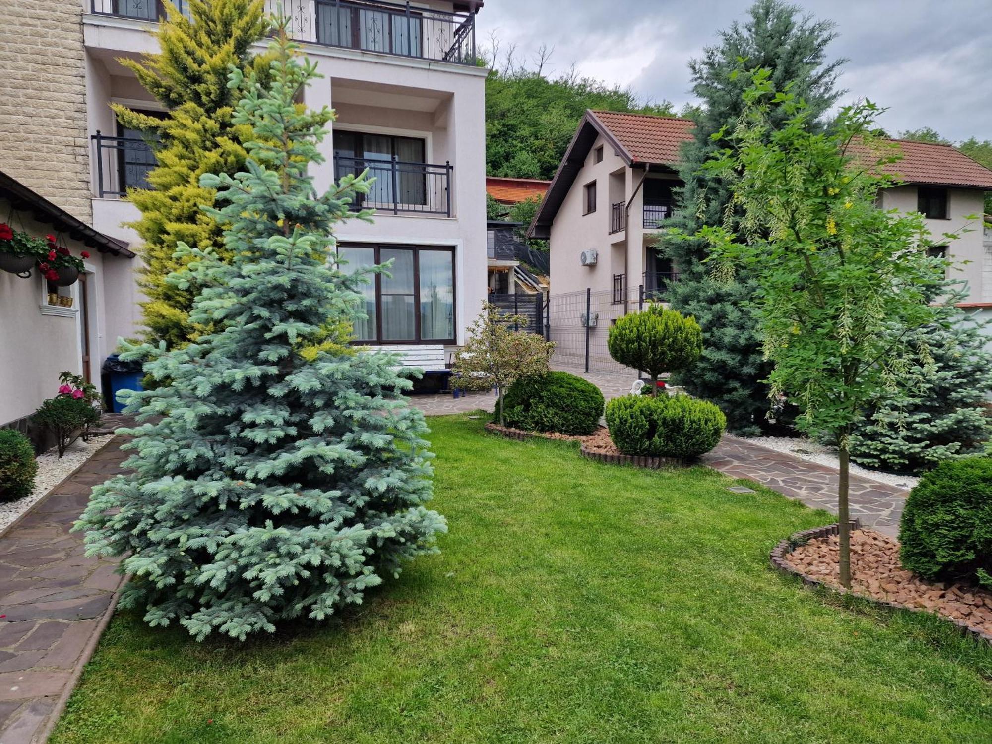 Casa Andrei Hotel Orşova Eksteriør billede